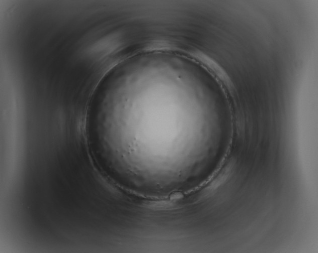 X0000101671337200807101352