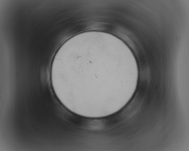 X0000101671338200807101352