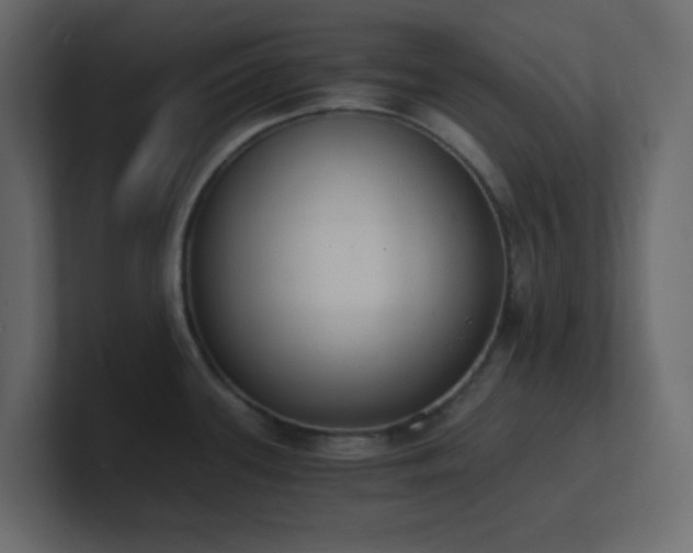 X0000101671339200807101352