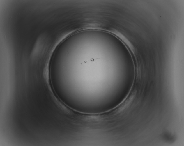 X0000101671341200807101352