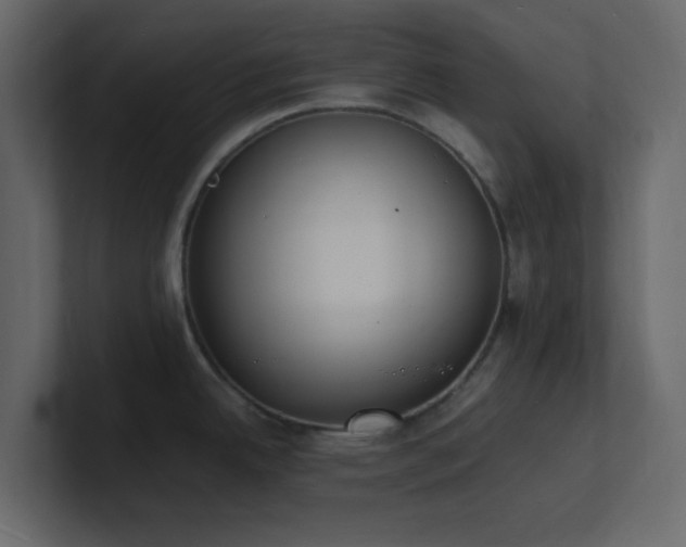 X0000101671342200807101352