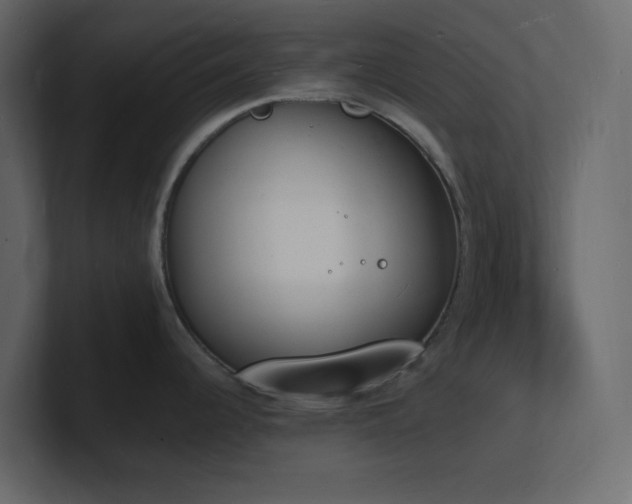 X0000101671344200807101352