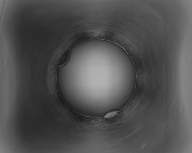 X0000101671345200807101351