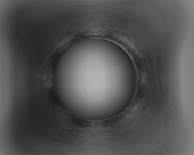 X0000101671350200807101351