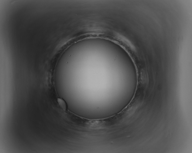 X0000101671352200807101351