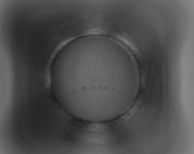 X0000101671358200807101351