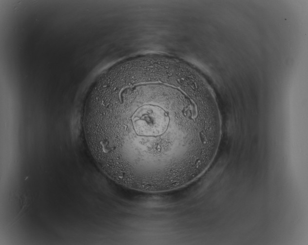 X0000101671359200807101351