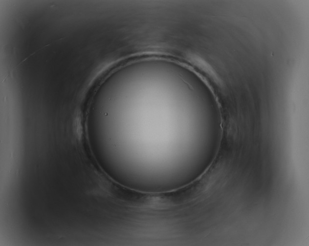 X0000101671360200807101351