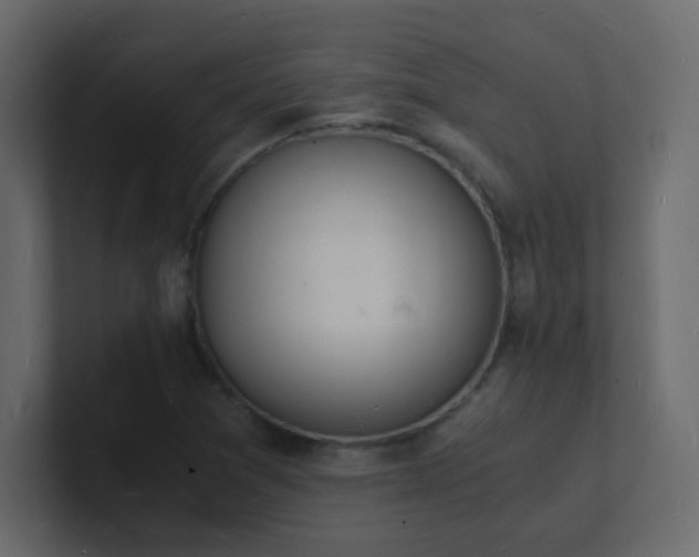 X0000101671361200807101351