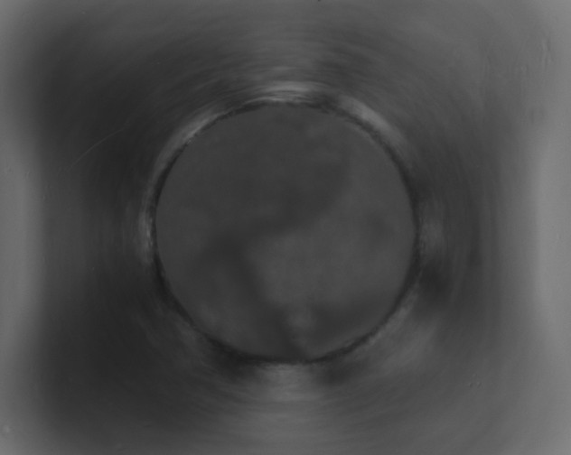 X0000101671362200807101351