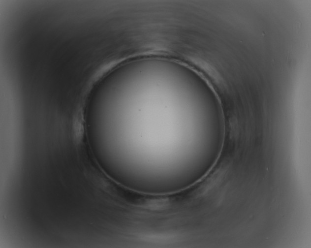 X0000101671363200807101351