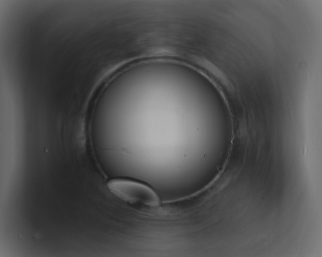 X0000101671364200807101351