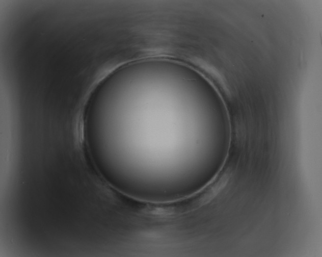 X0000101671365200807101351