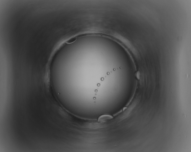 X0000101671366200807101351