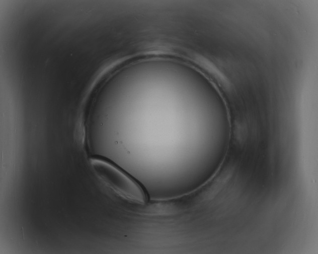 X0000101671368200807101351