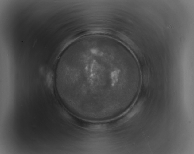 X0000101671369200807101351