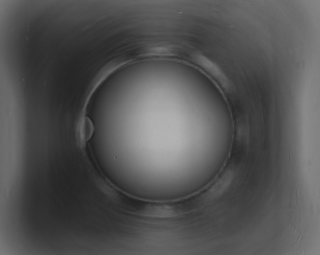 X0000101671370200807101351