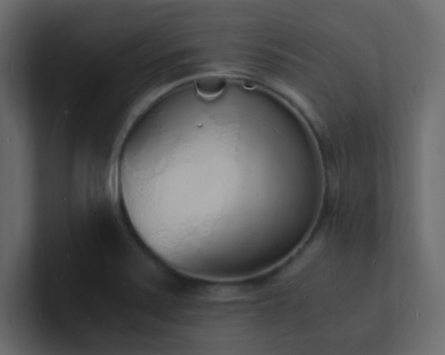 X0000101671371200807101351