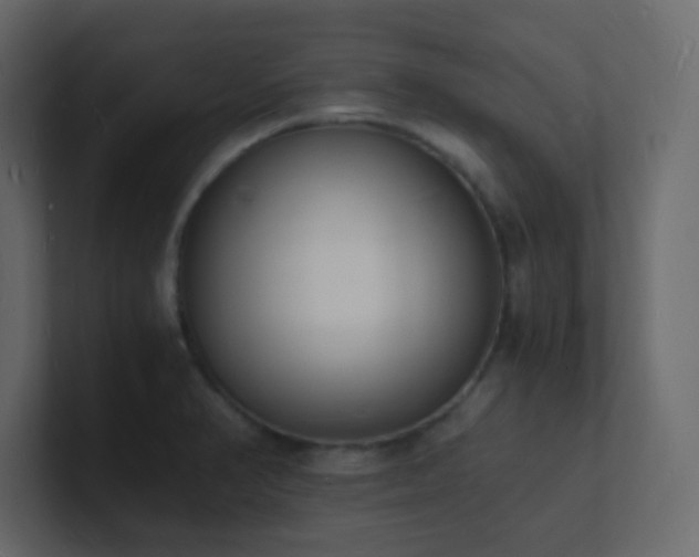 X0000101671374200807101351