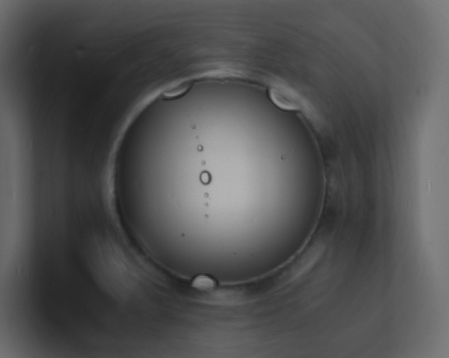 X0000101671375200807101351