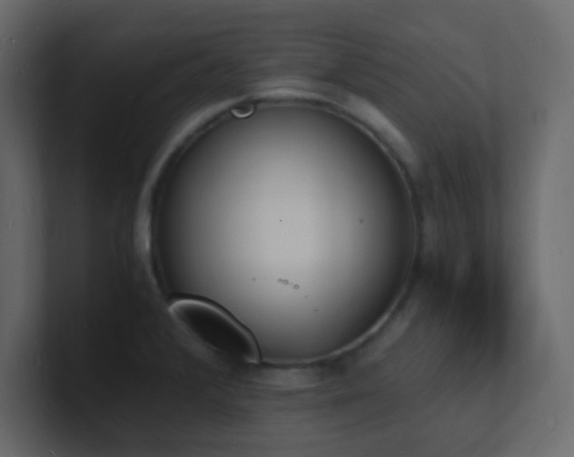 X0000101671376200807101351