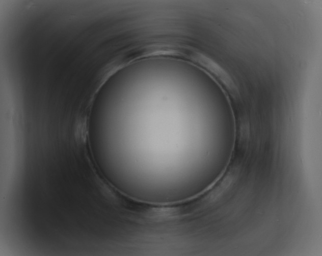 X0000101671377200807101351
