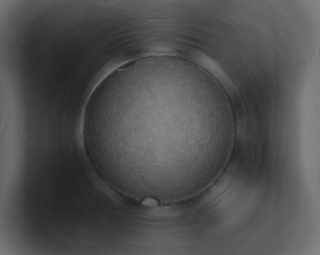 X0000101671378200807101351