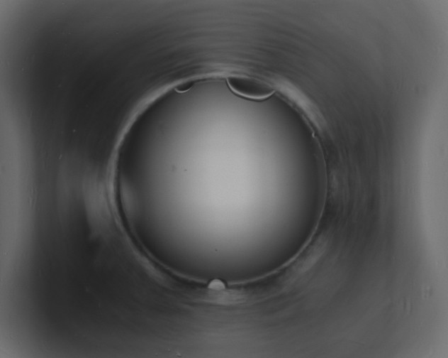 X0000101671379200807101351