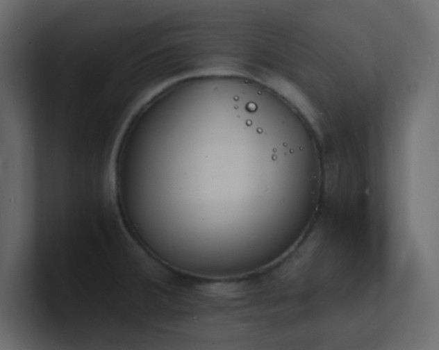 X0000101671380200807101351
