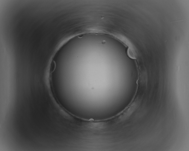 X0000101671381200807101351