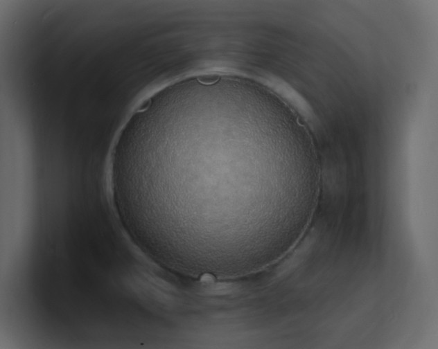X0000101671382200807101351