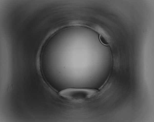 X0000101671384200807101351