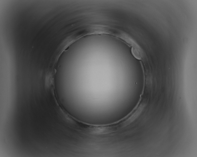 X0000101671385200807101351