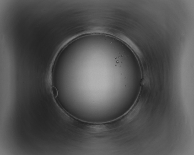 X0000101671388200807101351