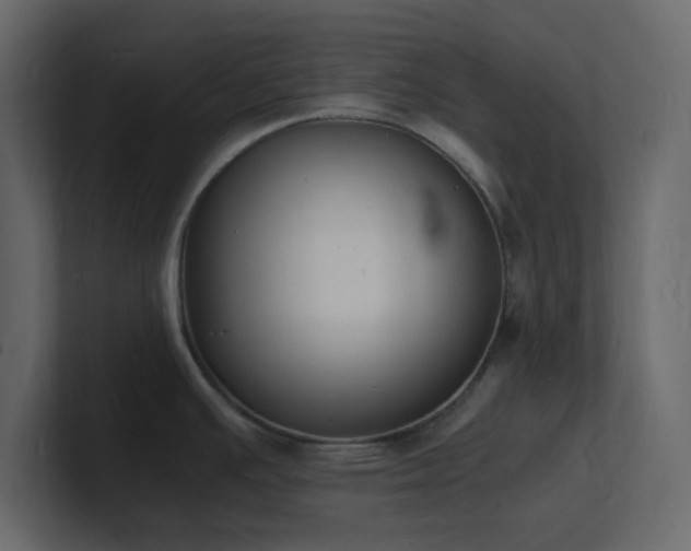 X0000101671391200807101350