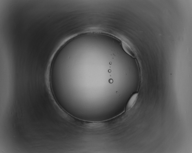 X0000101671392200807101350