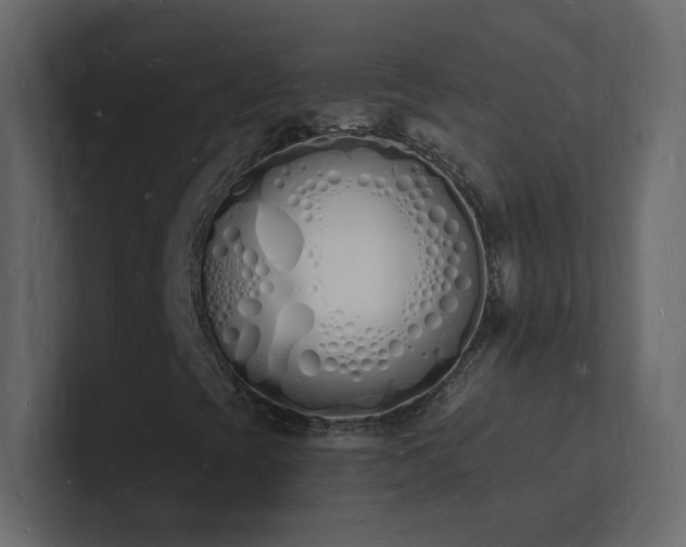 X0000101671393200807101350