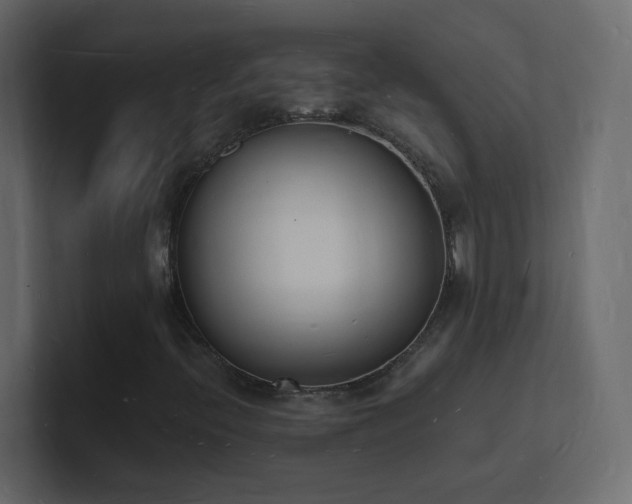 X0000101671396200807101350