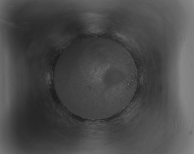 X0000101671397200807101350