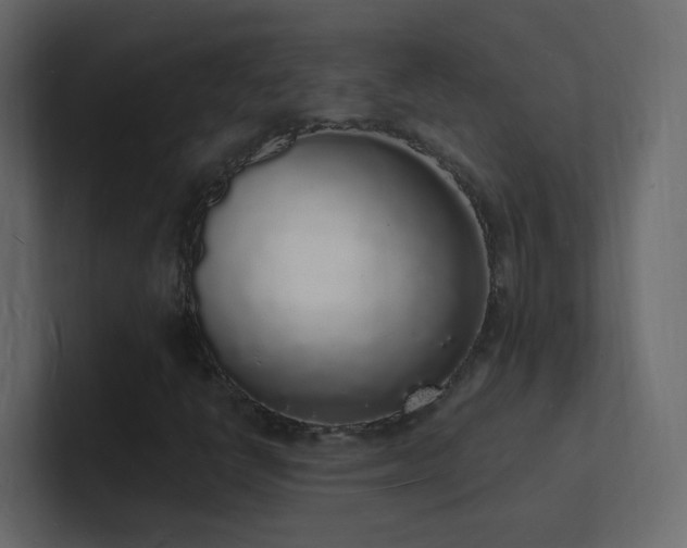 X0000101671398200807101350