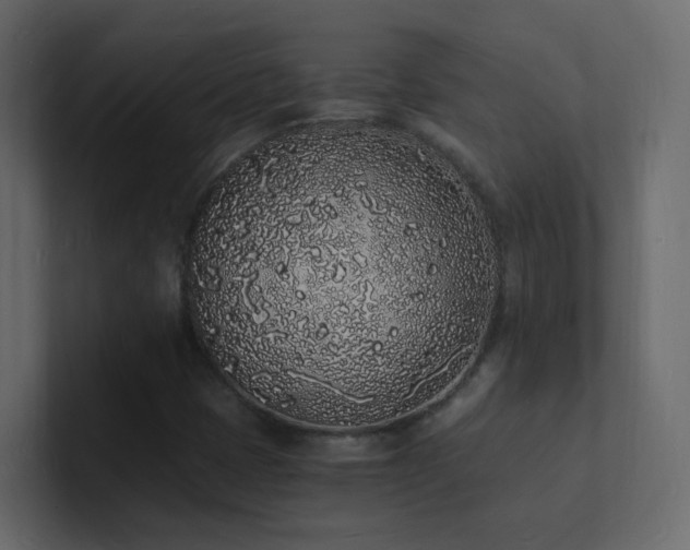 X0000101671401200807101350