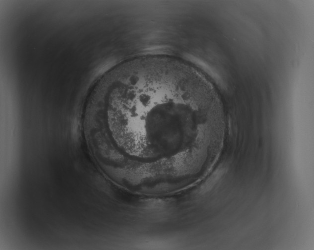 X0000101671405200807101350
