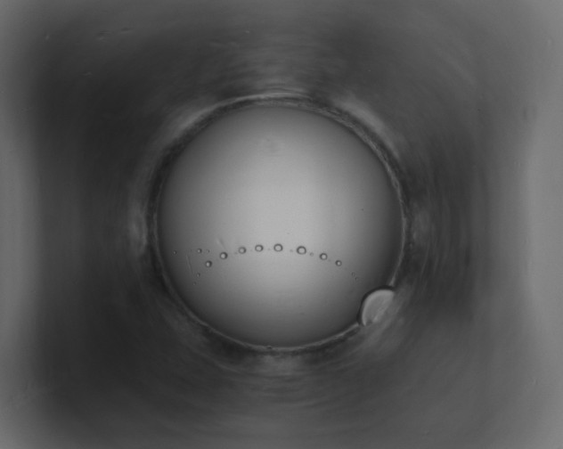 X0000101671407200807101350