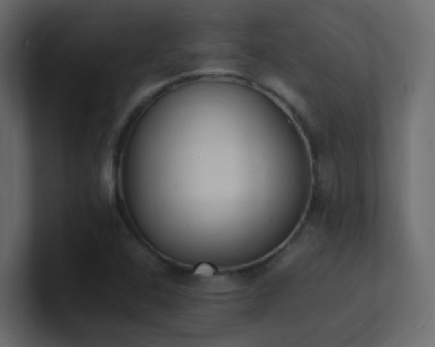 X0000101671408200807101350