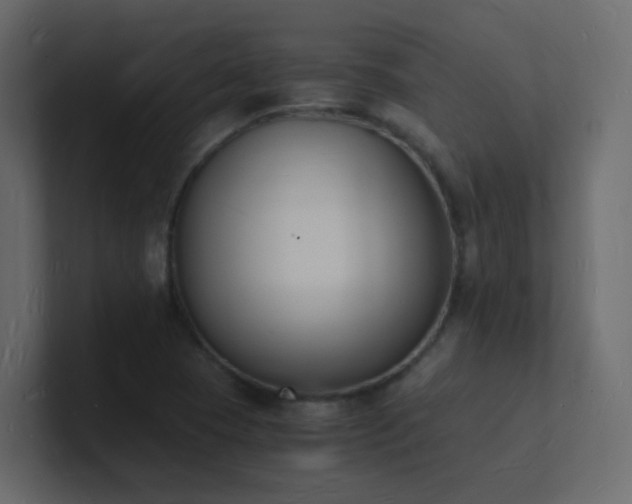 X0000101671409200807101350