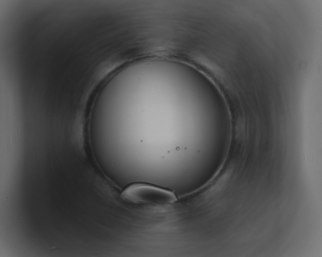 X0000101671410200807101350