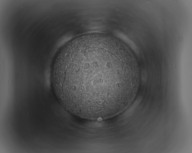 X0000101671411200807101350