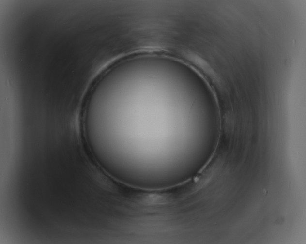 X0000101671412200807101350