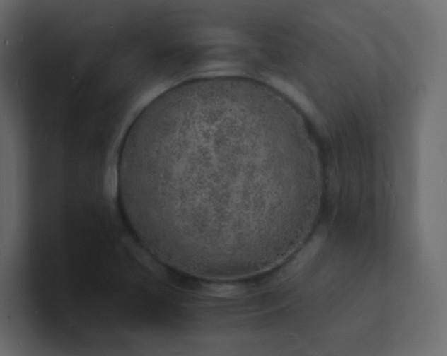 X0000101671413200807101350