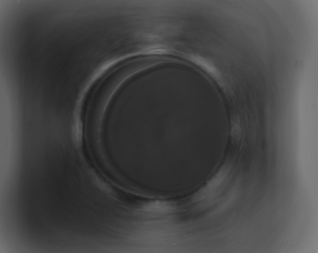 X0000101671414200807101350